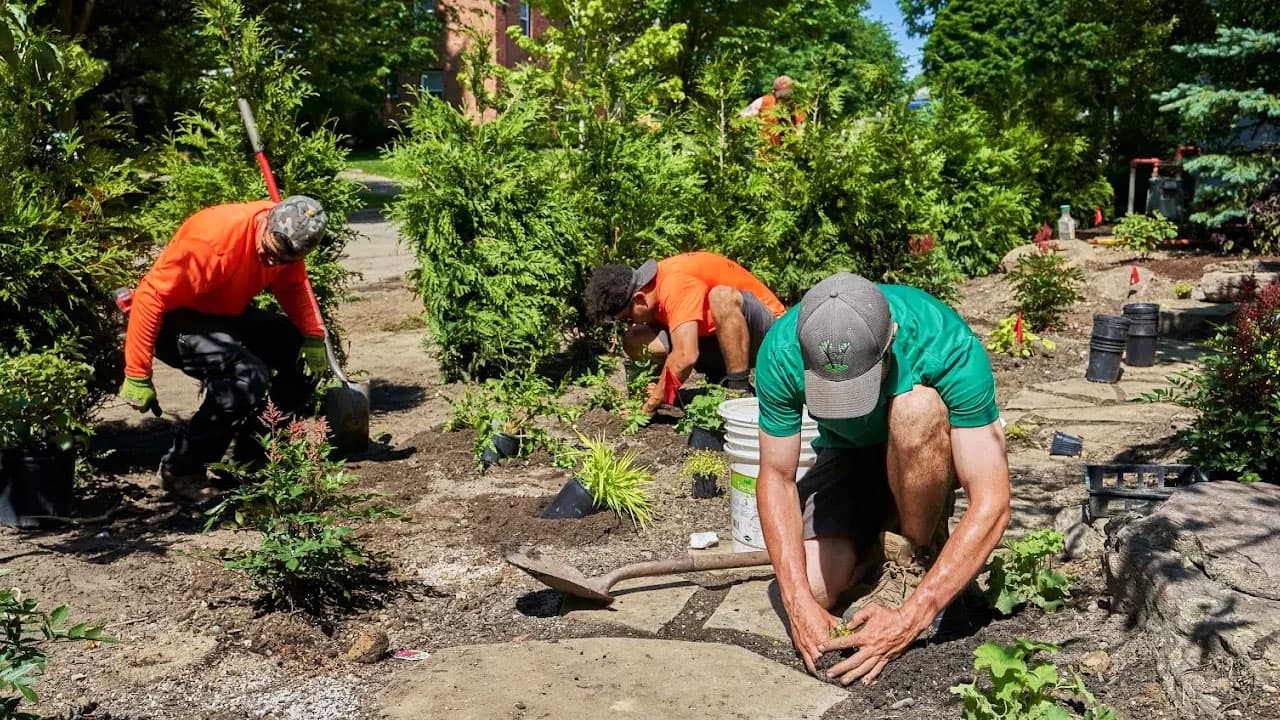 Plant installation on a Cleveland property